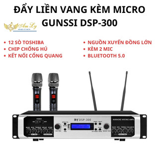 Đẩy liền vang kèm micro Gunssi DSP-300, amly bluetooth, amply kèm vang cho sân khấu công suất lớn, cổng quang học