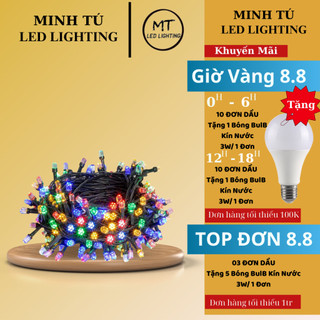 Dây đèn led trang trí chớp đủ màu 10m,4m5
