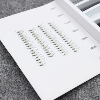 Mi fan katun-wispy 5d hộp mix size 9-15mm/1000fan dày 0.07 cong c-cc-d -mi fan xuất khẩu_thúy hà
