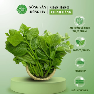 MỒNG TƠI tươi ngon - Sản phẩm chất lượng, tươi sạch - Ship hoả tốc
