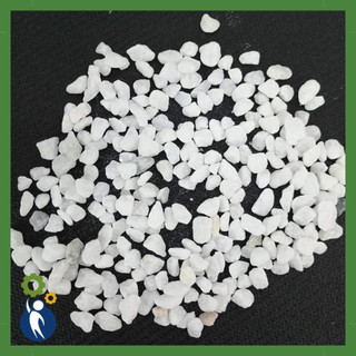  Đá Sỏi trắng trang trí chậu cây tiểu cảnh đá trắng trang trí chậu cây bể cá bịch 1kg 