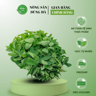 Rau ngót tươi sạch - hàng chất lượng - ship hoả tốc