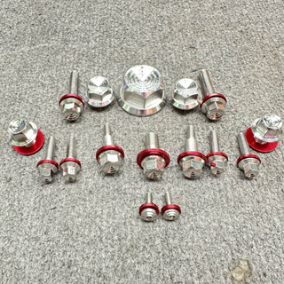  Combo Full Ốc Salaya Inox304 Dàn Đầu Raider Satria 