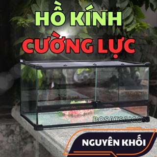 LỒNG KÍNH CƯỜNG LỰC NGUYÊN KHỐI NUÔI BÒ SÁT THÚ CƯNG RỒNG NAM MỸ RÙA RẮN TRĂN ẾCH RỒNG ÚC NHỆN_YL-11