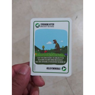 Bài Mèo Mở rộng Streaking Kittens 20 lá  (tặng 5 lá) mèo chế fan-made