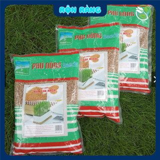 [1kg] Hạt Giống Cỏ Lúa Mì (Mầm Lúa Mạch) Phú Nông