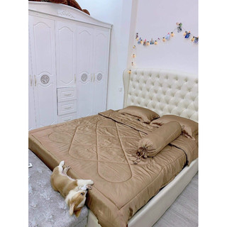 BỘ Ga Giường, Bộ ga PHI LỤA Bóng 1M6, 1M8 /Chiều cao( 25/30cm)