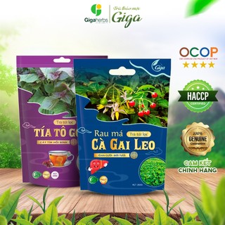 [ Combo 2 gói ] 1 gói Trà Cà Gai Leo GIGA  Và 1 gói Trà Tía Tô Gold GIGA - Giải độc gan, hỗ trợ điều trị Gút