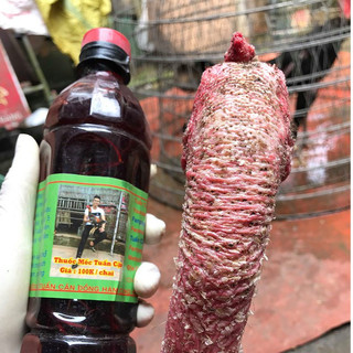 Chai Mốc cho gà mốc lác trắng