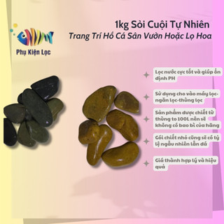 1kg Sỏi Cuội Tự Nhiên Trang Trí Hồ Cá Sân Vườn Hoặc Lọ Hoa