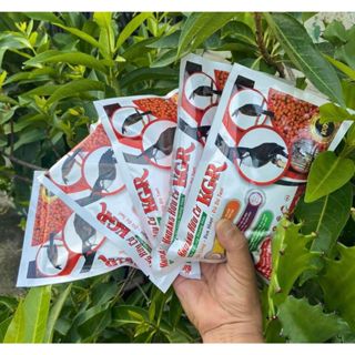 Viên Khoáng hữu cơ KGR Cám chim chào mào cao cấp Huy AK cám chim thay lông cho bộ lông hoàn hảo