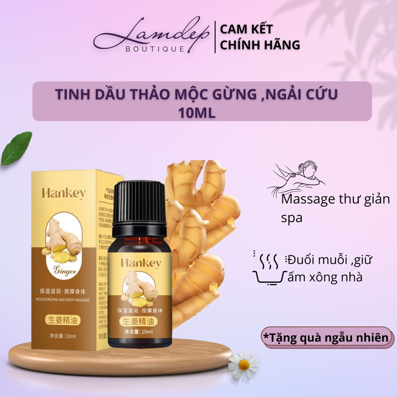 Tinh Dầu Bất kì Gừng, Ngải Cứu, Hoa Mộc Tê,Tràm ,Trà Xanh Thảo Mộc Đuổi Muỗi Xông Phòng Giữ Ấm Thư Giãn 10MLf
