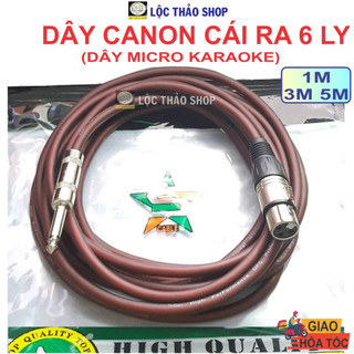 Dây canon cái ra 6 ly dài 1m 3m 5m - dây mcro karaoke - dây canon cái ra jack 6 ly mono - dây 6 ly đực ra canon cái