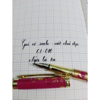 Combo bút máy ngòi lá tre cl010 + mực Pilot đỏ ( viết máy ngòi lá tre )