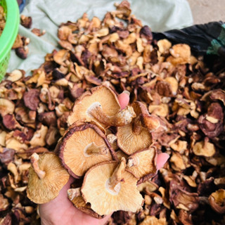 Nấm hương khô rừng Tây Bắc (500g, 1kg) sấy khô từ nấm hương rừng tươi tự nhiên