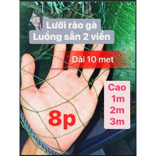 10m lưới rào gà xanh rêu khổ cao 3m, 2m ,1m