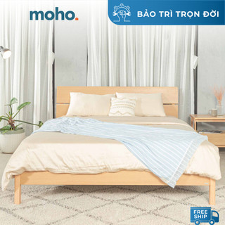 Giường Ngủ Gỗ MOHO VLINE 601 Màu Gỗ Tự Nhiên