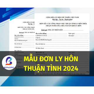 Đơn thuận tình ly hôn mới nhất năm 2024