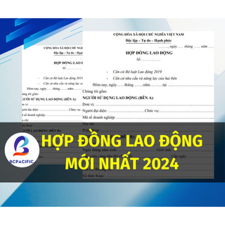 Hợp đồng lao động bản mới nhất năm 2024