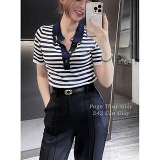 Áo len polo phối viền y.l kèm tag qcl1