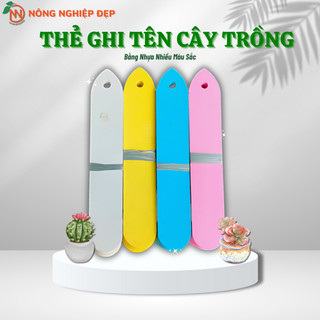 Thẻ ghi tên lan - bằng nhựa nhiều màu sắc - set 100 cái