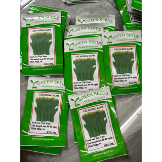 Gói 10 gr hạt giống cải ngồng xanh