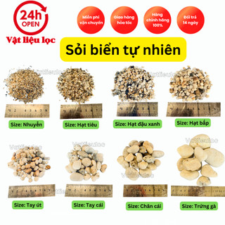 Túi 10kg Sỏi biển tự nhiên trải nền thủy sinh