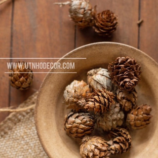 Set 20 trái thông cánh mềm trang trí