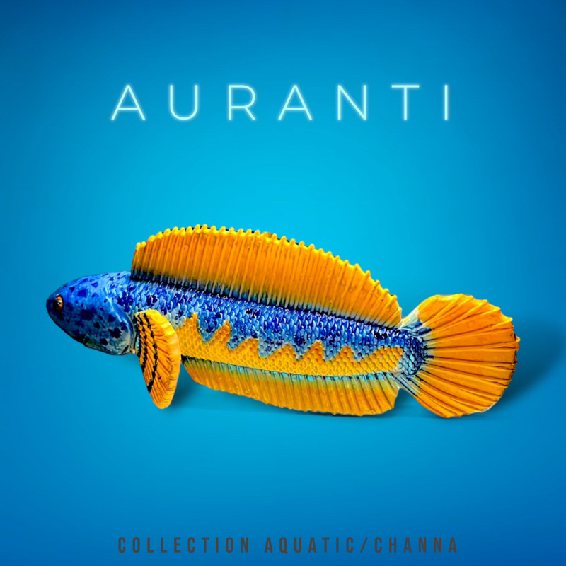 Mô hình kè cá lóc