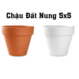 Chậu bonsai mini 5x5
