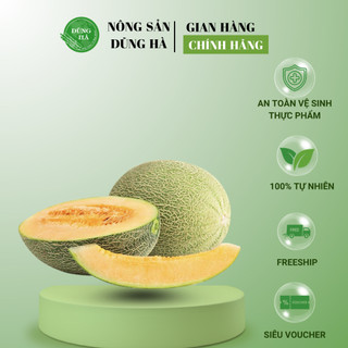 DƯA LƯỚI ĐÀI LOAN - [Hàng nhập khẩu chất lượng cao] - Dưa siêu giòn và giọt