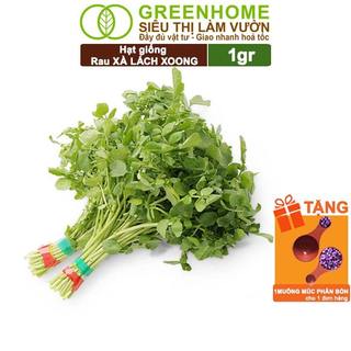 Hạt Giống Rau Xà Lách Xoong Greenhome, Gói 1g, Dễ Trồng, Nảy Mầm Cao, Thu Hoạch Nhanh R01