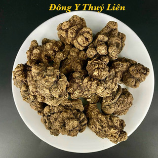 Xuyên Khung Nguyên Củ