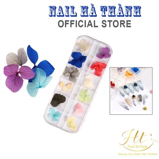 Set hoa khô cánh to gắn móng, hộp hoa khô làm móng