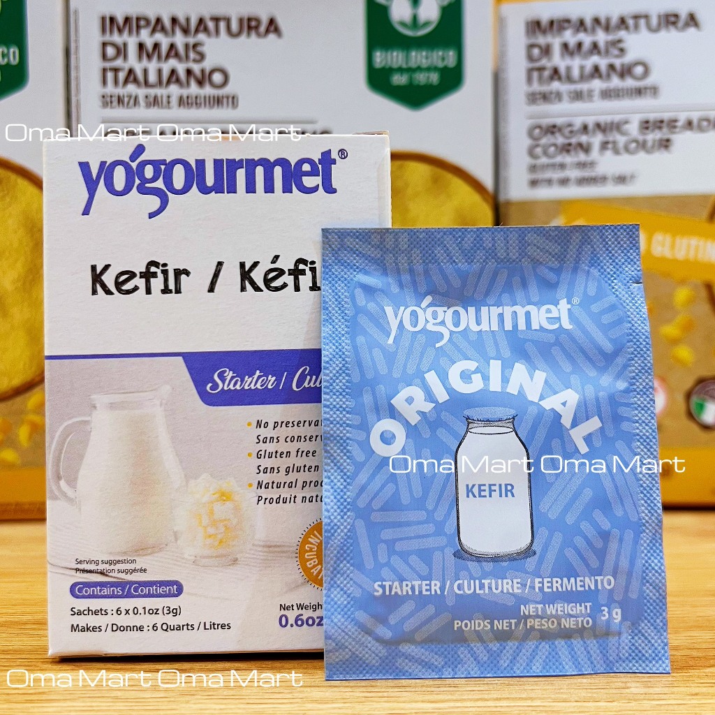 Men Làm Sữa Chua Kefir Yogourmet