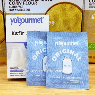 Men Làm Sữa Chua Kefir Yogourmet