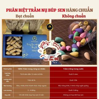 Trầm Hương Nụ búp sen khói ngược trầm tự nhiên 100% Tramvn