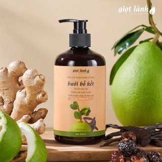 Dầu gội bồ kết - bưởi, dầu gội thảo dược thuần chay kích mọc tóc Giọt Lành 500ml