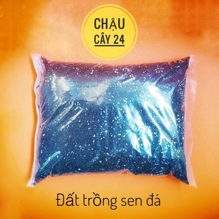 Giá thể trồng sen đá (1 KG) đất trồng xương rồng, cây cảnh mini để bàn đã được xử lý trộn sẵn