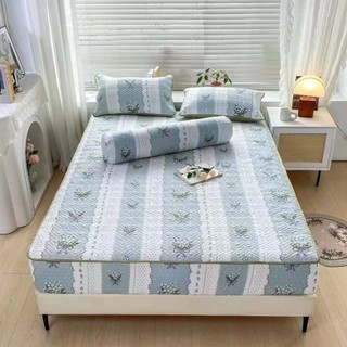 Bộ Ga Trải Giường Trần Bông Kèm 2 Vỏ Gối Cam Kết Không Xô Lệch chất Cotton đũi m6 m8 2m2 nhiều mẫu
