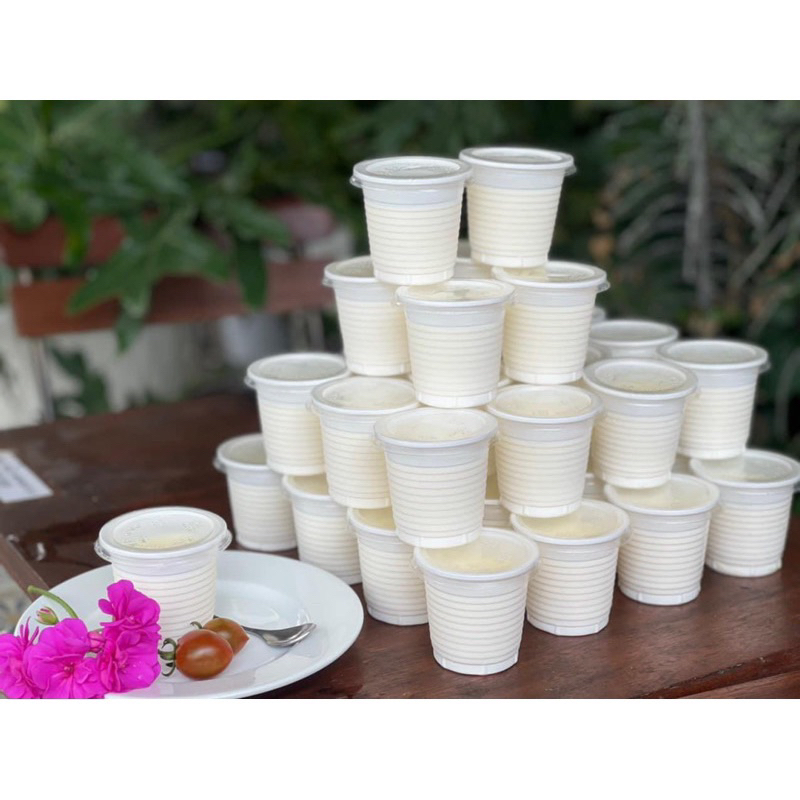 50 Ly Nhựa Nhỏ, ly sữa chua phô mai, ly rau câu