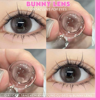 ( 𝐇𝐚̀𝐧𝐠 𝐂𝐨́ 𝐂𝐚̣̂𝐧 ) ✨ Kính Áp Tròng Lens Nâu Trong Dễ Thương Size Giãn Nhỏ 14.0mm - Hsd 12 Tháng