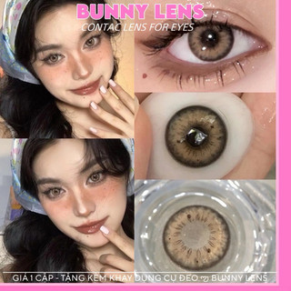 20 MẪU LENS NÂU TÂY KHÔNG ĐỘ