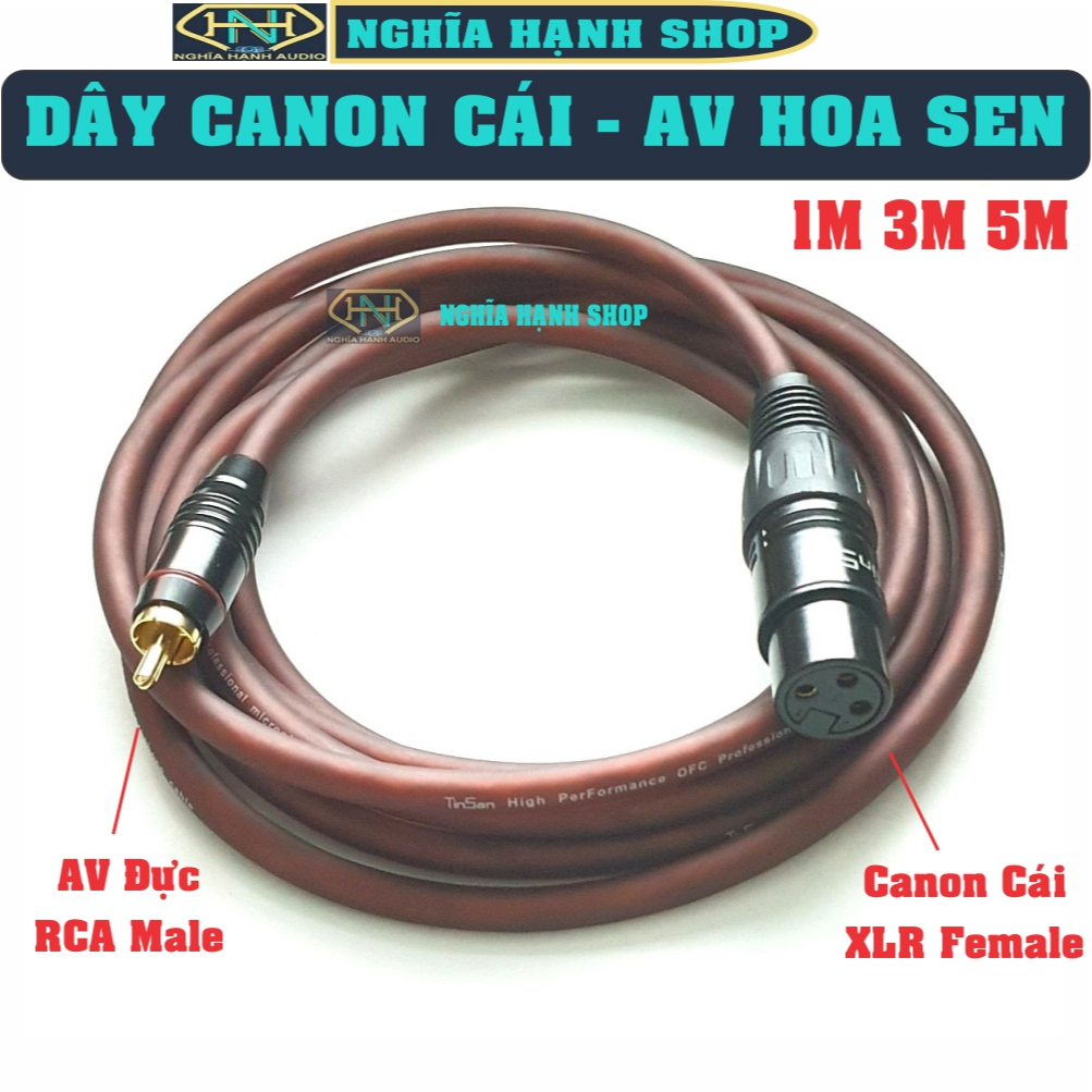 Dây Canon Cái ra AV dài 1M 3M 5M (1 dây) - Dây Canon AV - Dây AV ra Canon Cái - Canon Cái ra Hoa sen