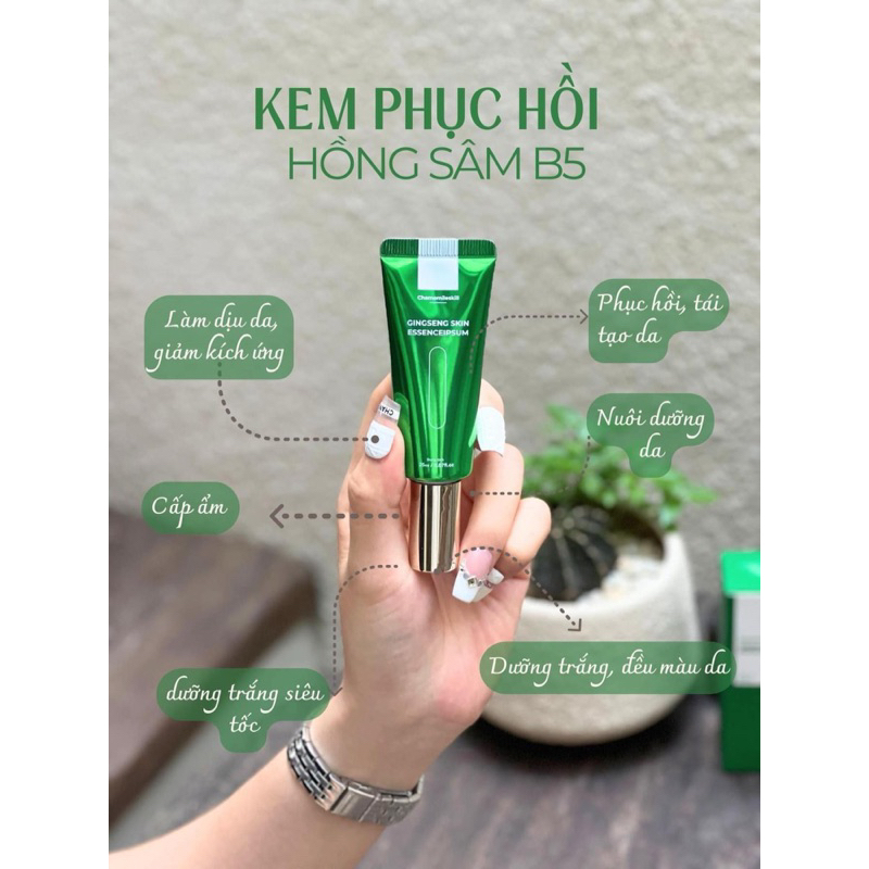 Hồng sâm + tái tạo chamomile