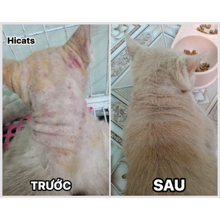 Xịt viêm da thảo dược cho chó mèo