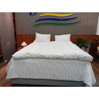 Nệm Topper ruột Microfiber cao cấo mềm mại Riotex kích thước : 1mx2m, 1m2x2m, 1m4x2m, 1m6x2m, 1m8x2m