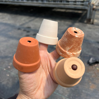 Chậu đất nung trồng sen đá size mini 5cm,cây cảnh trang trí nhà cửa THUANPHAT GARDEN
