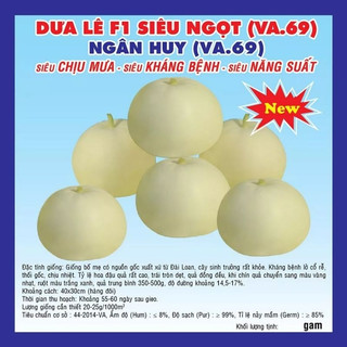 Hạt giống dưa lê F1 siêu ngọt  Ngân Huy va69 5gam, sinh trưởng khỏe
