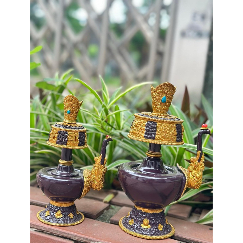 {PBMC} Bình Sái Tịnh đồng có vòi